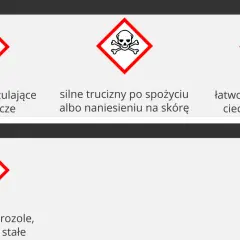 Ostrzeżenia dla metanolu: substancje uczulające, rakotwórcze, silne trucizny, łatwopalne. Jak powstaje alkohol metylowy?