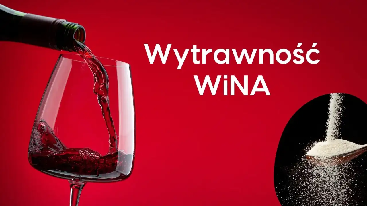 Wino wytrawne - Ile ma cukru? Cała prawda o smaku