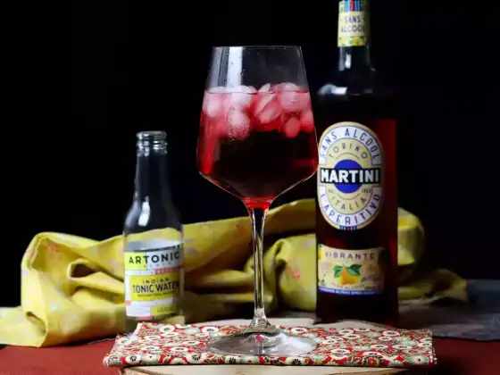 MARTINI z tonikiem - Jak zrobić idealny aperitif?