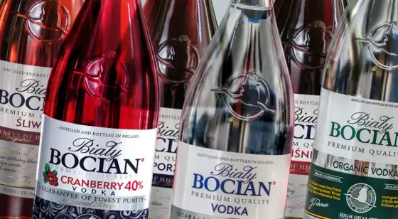 Biały Bocian - Kto produkuje? Cała prawda o wódce!
