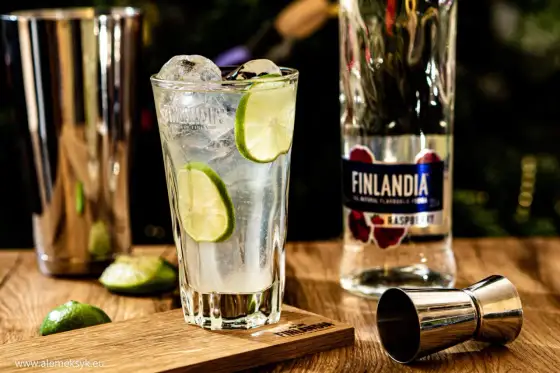 Finlandia Redberry - Z czym łączyć? Cena, koktajle, opinie.